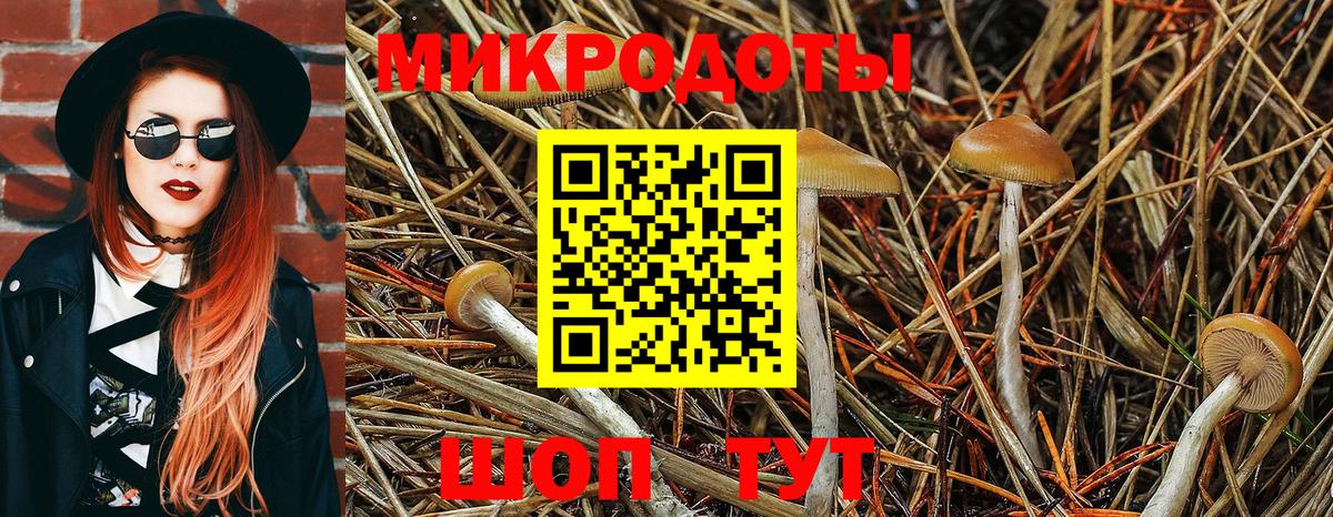 Каменск-Уральский  Галлюциногенные грибы GOLDEN TEACHER  Вход с VPN 